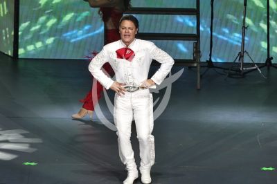 Pedro Fernández es Ave Fénix