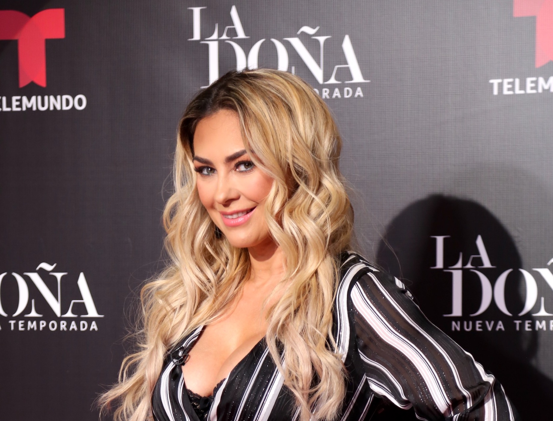 Aracely Arámbula adopta a una cachorrita