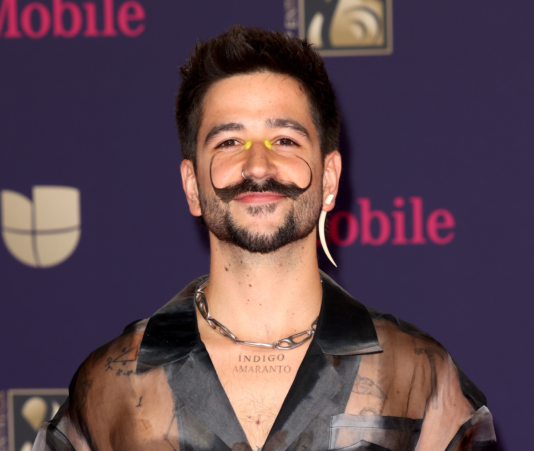 Camilo llora en pleno show la muerte de su perra