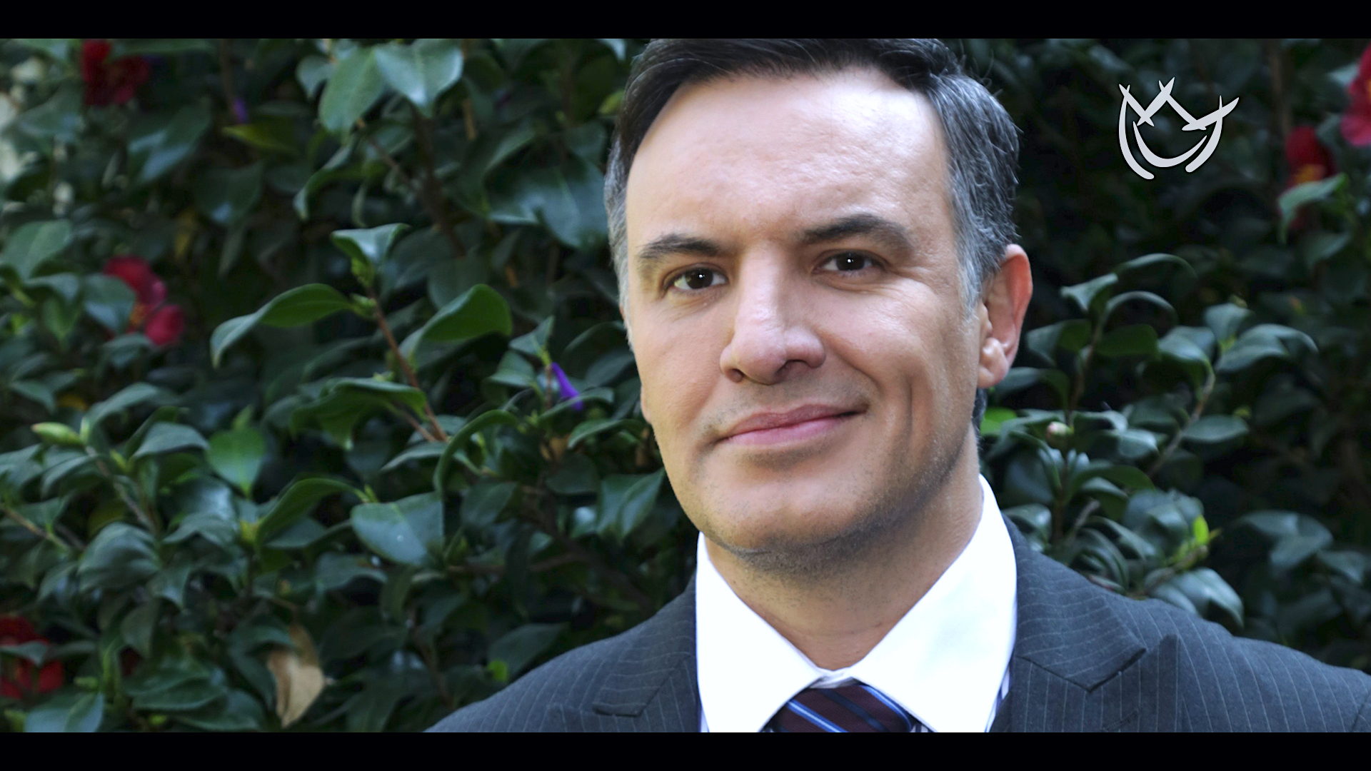 VIDEO: Alejandro de la Madrid encuentra el amor incondicional…en sus perros